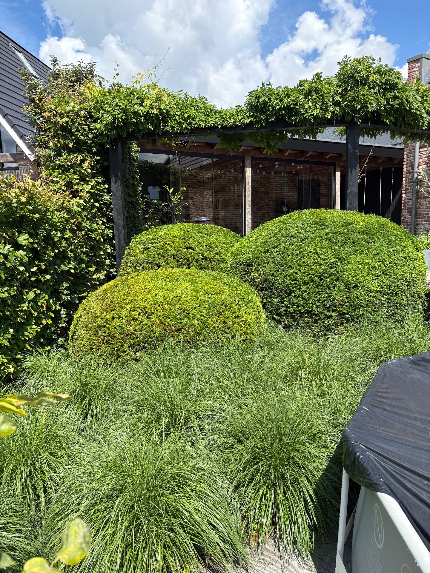 Verzorgde ronde struiken en siergrassen bij een begroeide pergola